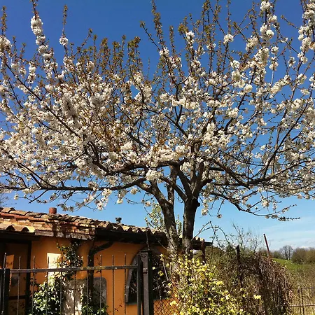 Case Nel Borgo Campagnano Di Roma